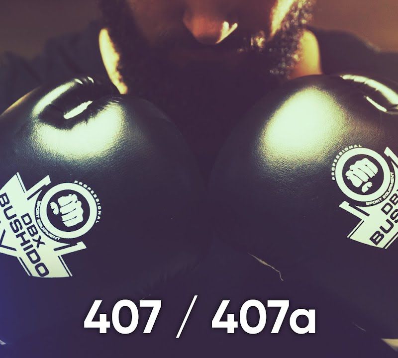 DBX BUSHIDO ARB-407 schwarz/weiße Boxhandschuhe 23