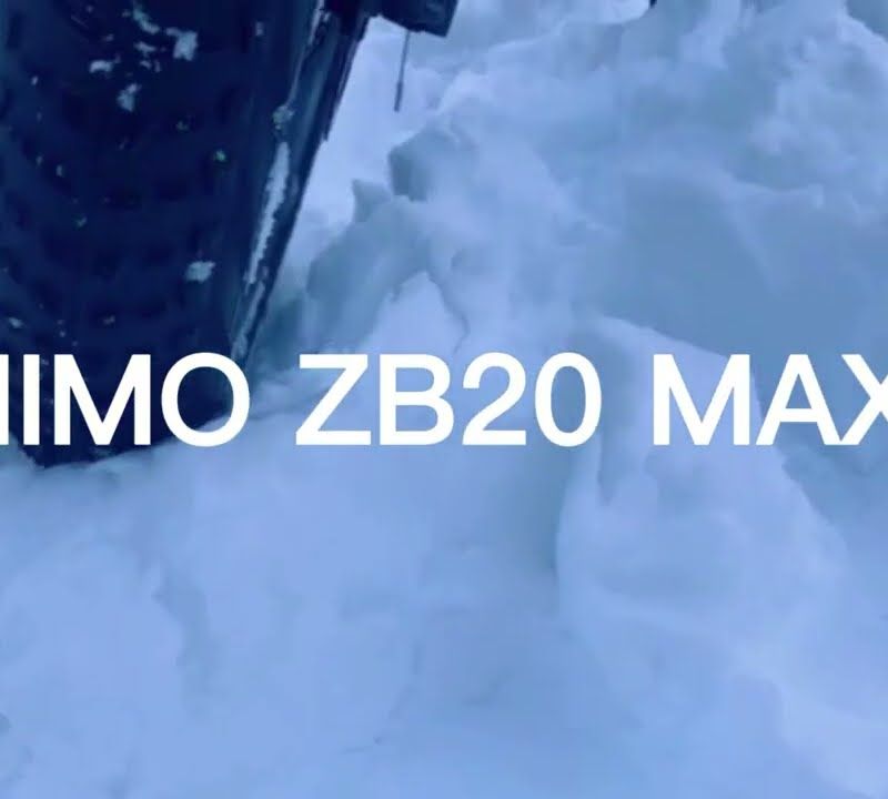 Elektrofahrrad HIMO ZB20 Max beige 18