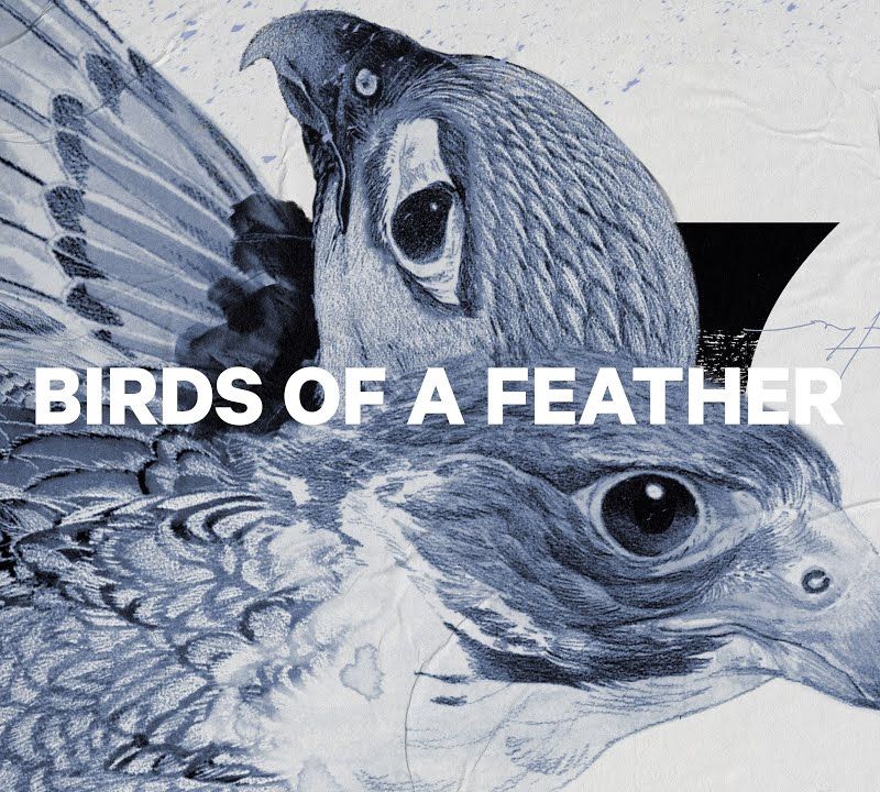 Damen Snowboard CAPiTA Birds Of A Feather 1221108 5