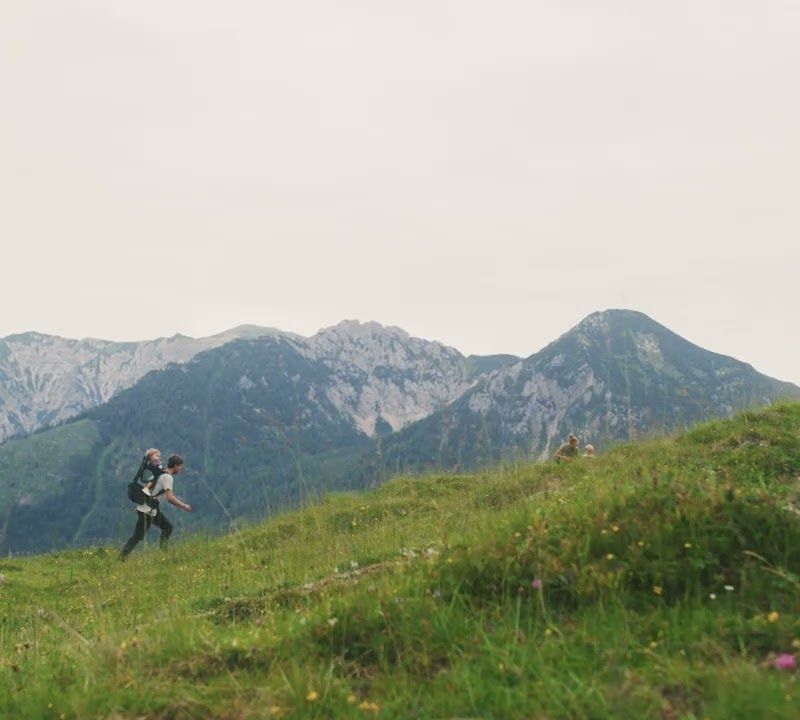 Thule Sapling Kindertrage grün 3204539 10