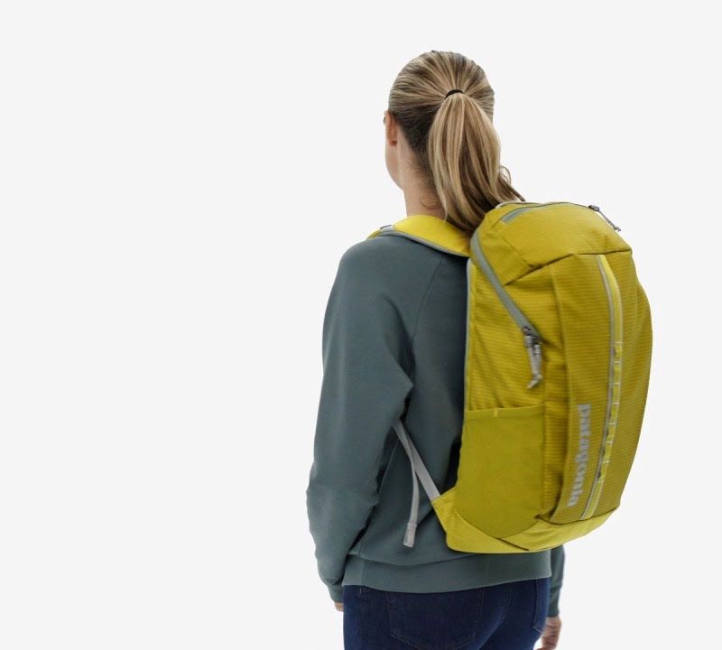 Patagonia Black Hole Pack 25 l Strauch grün Wanderrucksack 7