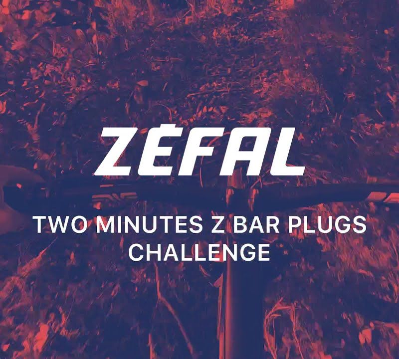 Zefal Z Bar Stopfen Schlauchlos-Reparaturset 9