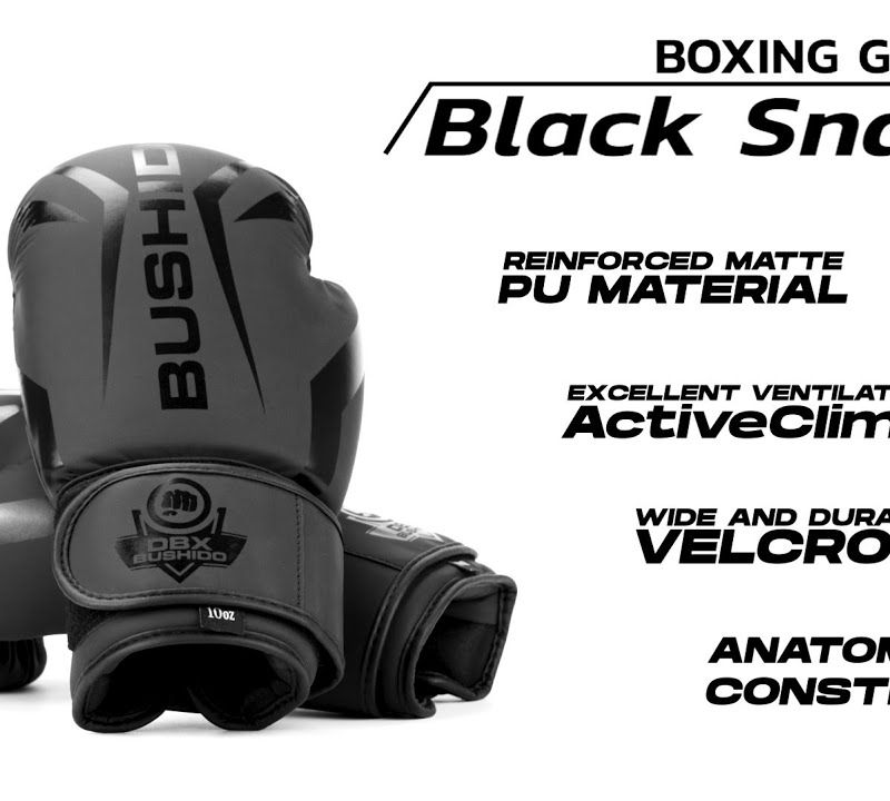 DBX BUSHIDO 'Raptor' Boxhandschuhe schwarz 12