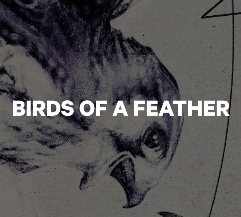 Damen Snowboard CAPiTA Birds Of A Feather Wide weiß 1211120 5