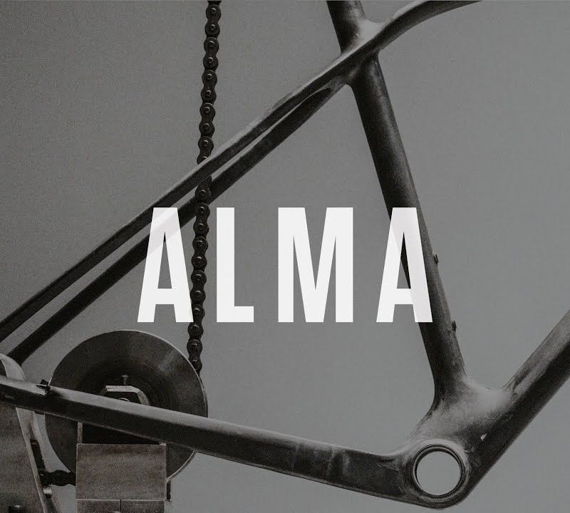Orbea Mountainbike Alma M30 grün M22216L5 18