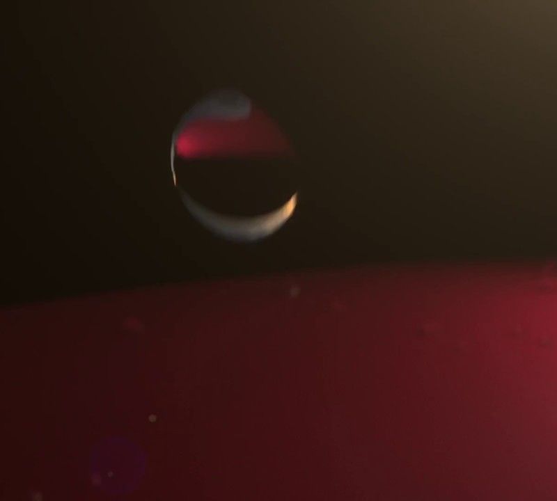 Herren Helly Hansen Crew Hooded Midlayer Jacke Weiß 33874_001 10