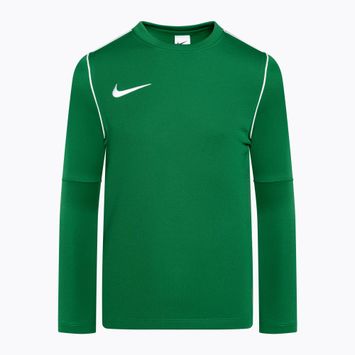 Nike Dri-FIT Park 20 Crew Tannengrün/Weiß Kinder Fußball Sweatshirt