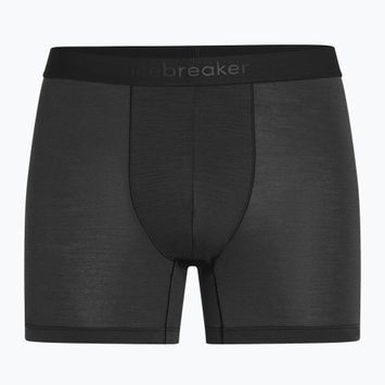 Herren Thermo-Boxershorts icebreaker Anatomica schwarz