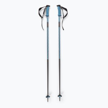 Skistöcke Salomon Polar Pro copen blue