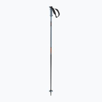 Skistöcke Salomon Polar Pro copen blue