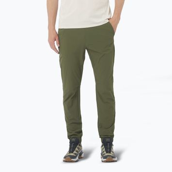 Salomon Wayfarer Ease Herren-Trekkinghose Traubenblatt