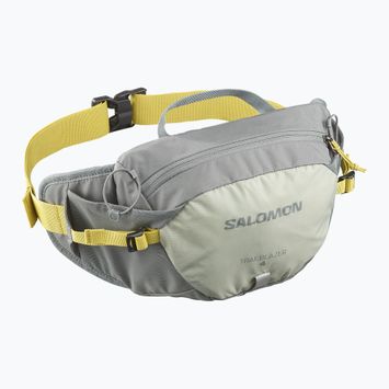 Bauchtasche Salomon Trailblazer 4 l sedona sage/seagrass/cress green