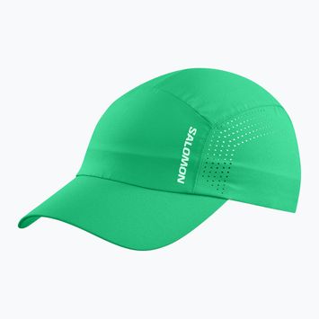Cap Schirmmütze Salomon SHAKEout Paarakeet