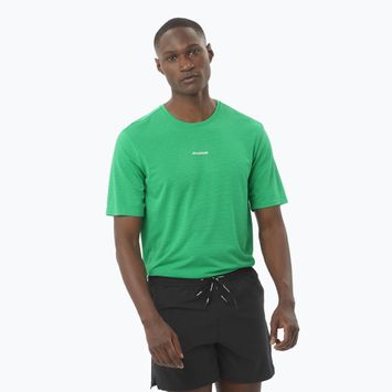 Laufshirt Herren Salomon SHAKEout Core Paarakeet