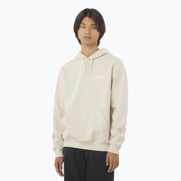 Hoodie Sweatshirt Herren Salomon Logo Hoodie rainy day