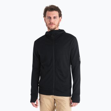 Icebreaker Merino 260 Quantum IV Zip Hoodie für Herren schwarz