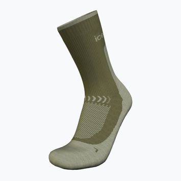 Trekking Socken Herren icebreaker Merino Hike+ Light Crew loden/lichen