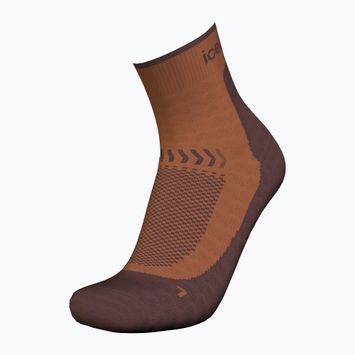 Trekking Socken Damen icebreaker Merino Hike+ Light Mini dusty clay/carob
