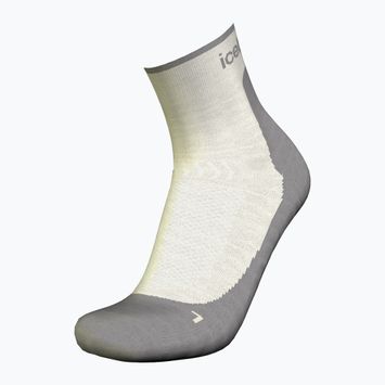 Trekking Socken Damen icebreaker Merino Hike+ Light Mini ecru hthr/alloy