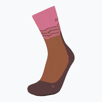 Trekking Socken Damen icebreaker Merino Hike+ Medium Crew Across the Peaks pop/carob