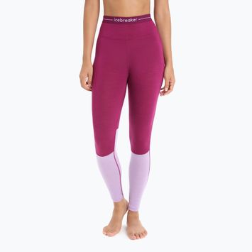 Damen Thermohose icebreaker 125 Zoneknit lila IB0A56H68221