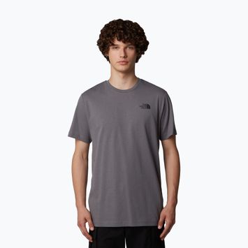 Shirt Herren The North Face Redbox Celebration smoked pearl
