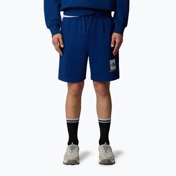 Trekking Shorts Herren The North Face Box Nse Regular estate blue/tnf white