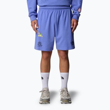 The North Face Mountain Cleanup Entspannt virtuelle blaue Shorts