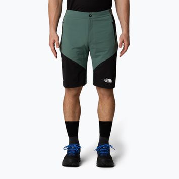 Trekking Shorts Herren The North Face Felik Slim Tapered Short duck green/tnf black