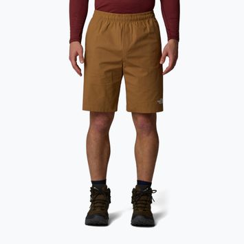 Shorts Herren The North Face Limestone utility brown