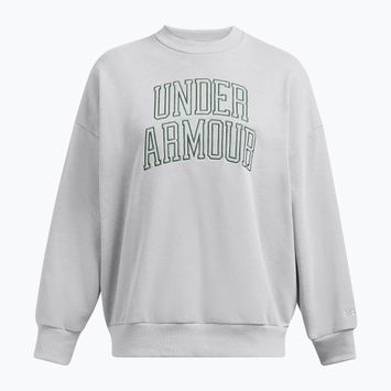 Under Armour Damen Sweatshirt Icon Heavyweight Terry Oversized Crew mod grau/forstgrün