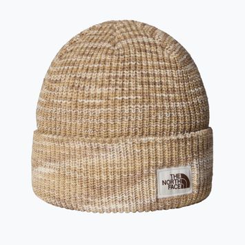 Wintermütze The North Face Salty Bae Lined