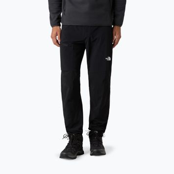 Hose Softshell Herren The North Face Speedlight Regular black