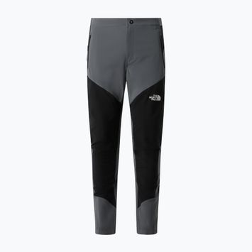 Herren-Trekkinghose The North Face Felik Slim Tapered smoked pearl/tnf