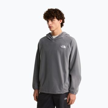 Herrenpullover The North Face Oxara Hooded Fleece smoked pearl