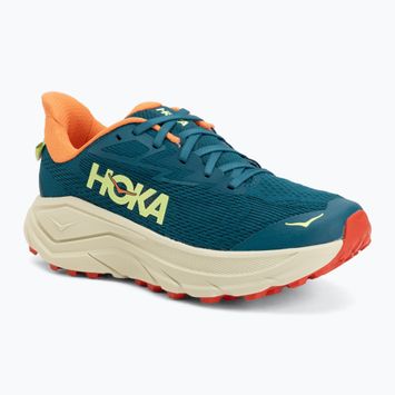 Damen Laufschuhe HOKA Challenger 8 tidal wave/pampas grass