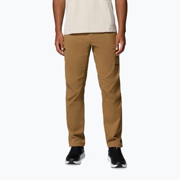 Herren-Trekkinghose Columbia Cosmiques Pro Nylon delta