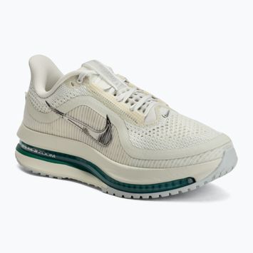 Laufschuhe für Damen Nike Pegasus Premium sea glass/malachite/metallic silver