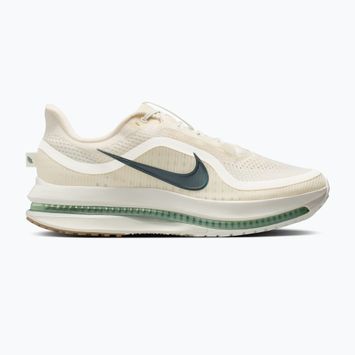 Herren-Laufschuhe Nike Pegasus Premium Pale ivory/jade horizon/black spruce