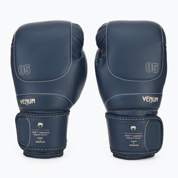 Boxhandschuhe Venum Impact Evo Boxing Gloves icy blue