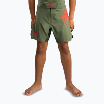 Kinder-Trainingsshorts Venum Light Fight Khaki