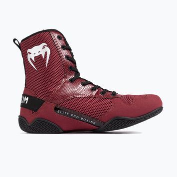 Venum Elite Boxing Schuhe Wein lees/silbernes Logo