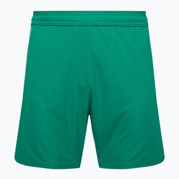Capelli Sport Cs One Adult Match grün/weiß Kinder Fußball-Shorts