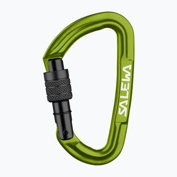 Salewa Hot G3 Schraube fluo grün Karabiner