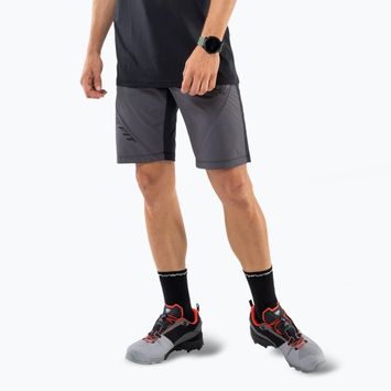 Herren DYNAFIT Transalper Light Dynastretch Magnet-Trekking-Shorts