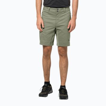 Jack Wolfskin Activate Tour Herren-Trekking-Shorts grün 1507441