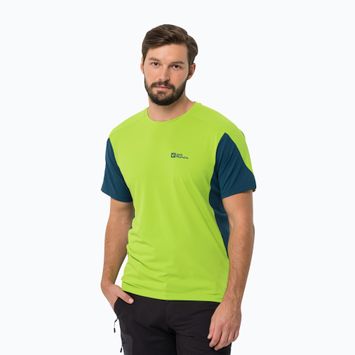 Jack Wolfskin Herren-Trekking-T-Shirt Narrows Flesh Grün 1807353