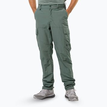 Jack Wolfskin Herren-Trekkinghose Barrier hedge grün