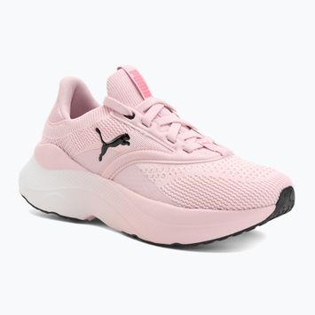 Laufschuhe Damen PUMA Softride Mayve rose mauve/puma black/sun struck