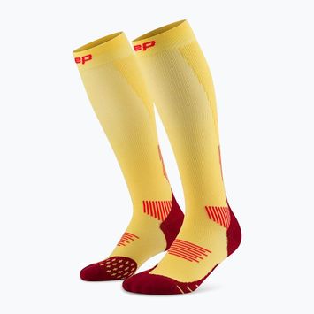 CEP Run Tall 5.0 Herren Kompressionssocken Ringelblume/Burgunder